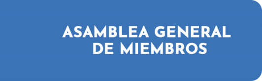 asamblea general de miembros